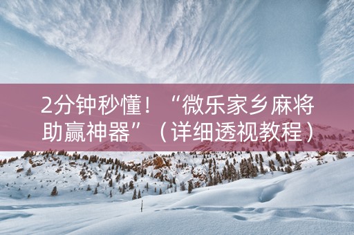 2分钟秒懂！“微乐家乡麻将助赢神器”（详细透视教程）-哔哩哔哩