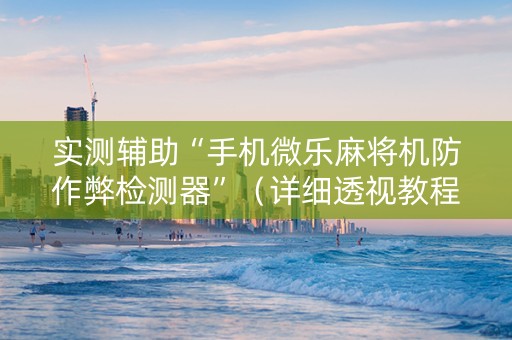 实测辅助“手机微乐麻将机防作弊检测器”（详细透视教程）-哔哩哔哩