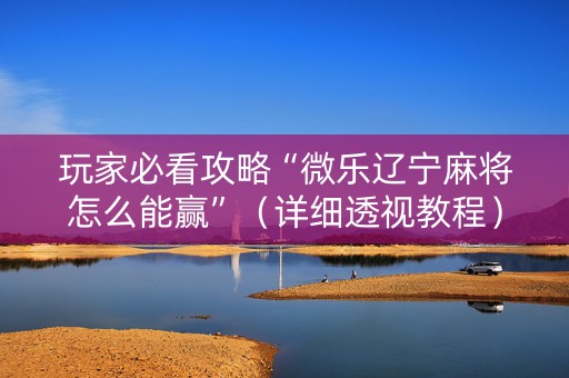 玩家必看攻略“微乐辽宁麻将怎么能赢”（详细透视教程）-哔哩哔哩