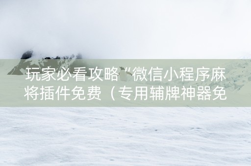 玩家必看攻略“微信小程序麻将插件免费（专用辅牌神器免安装）