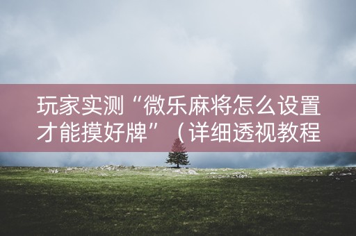 玩家实测“微乐麻将怎么设置才能摸好牌”（详细透视教程）-哔哩哔哩