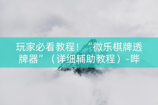 玩家必看教程！“微乐棋牌透牌器”（详细辅助教程）-哔哩哔哩