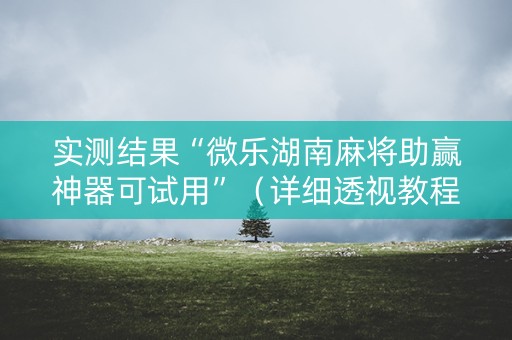 实测结果“微乐湖南麻将助赢神器可试用”（详细透视教程）-哔哩哔哩