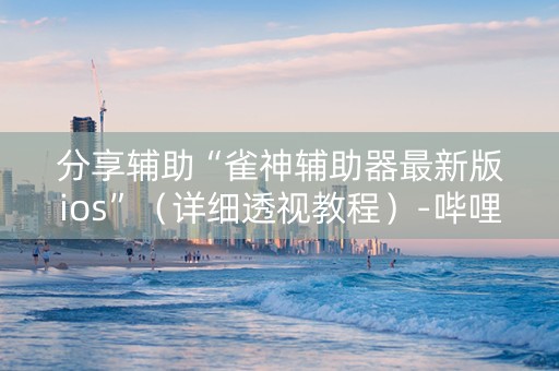 分享辅助“雀神辅助器最新版ios”（详细透视教程）-哔哩哔哩