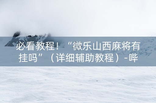 必看教程！“微乐山西麻将有挂吗”（详细辅助教程）-哔哩哔哩