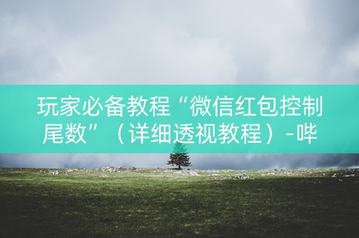 玩家必备教程“微信红包控制尾数”（详细透视教程）-哔哩哔哩