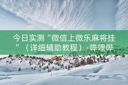 今日实测“微信上微乐麻将挂”（详细辅助教程）-哔哩哔哩