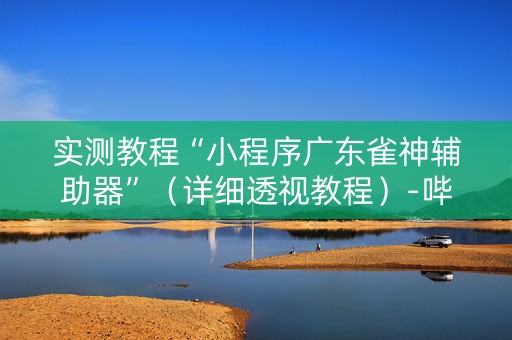 实测教程“小程序广东雀神辅助器”（详细透视教程）-哔哩哔哩