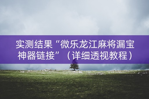 实测结果“微乐龙江麻将漏宝神器链接”（详细透视教程）-哔哩哔哩