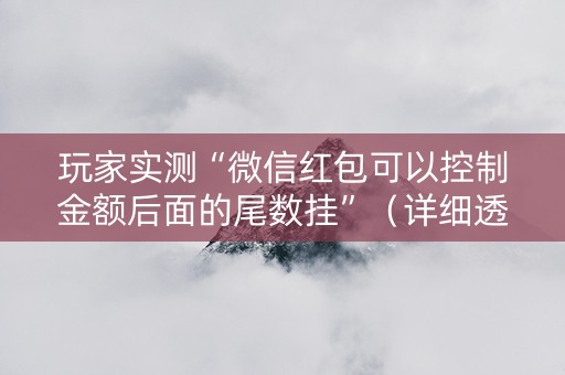 玩家实测“微信红包可以控制金额后面的尾数挂”（详细透视教程）-哔哩哔哩