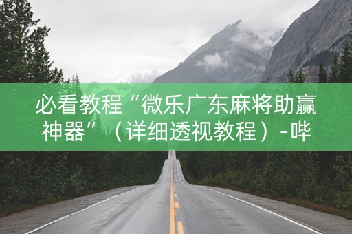 必看教程“微乐广东麻将助赢神器”（详细透视教程）-哔哩哔哩