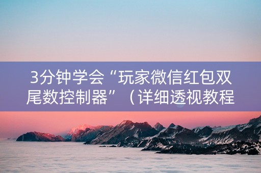 3分钟学会“玩家微信红包双尾数控制器”（详细透视教程）-哔哩哔哩