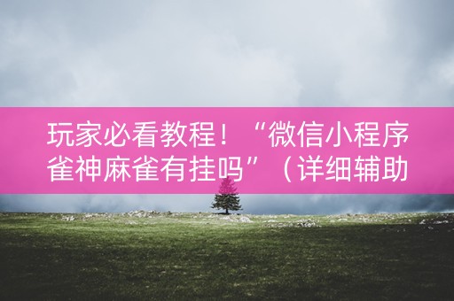 玩家必看教程！“微信小程序雀神麻雀有挂吗”（详细辅助教程）-哔哩哔哩