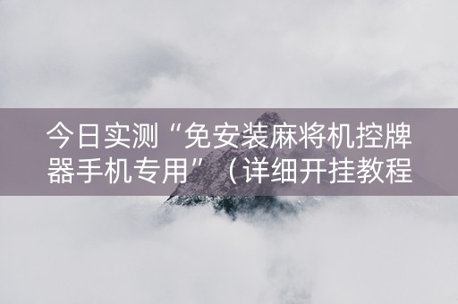 今日实测“免安装麻将机控牌器手机专用”（详细开挂教程）-哔哩哔哩