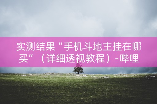 实测结果“手机斗地主挂在哪买”（详细透视教程）-哔哩哔哩
