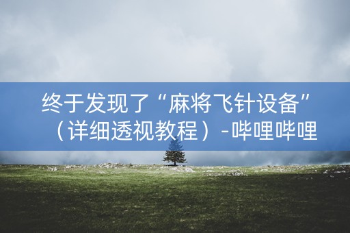 终于发现了“麻将飞针设备”（详细透视教程）-哔哩哔哩