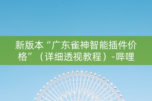 新版本“广东雀神智能插件价格”（详细透视教程）-哔哩哔哩