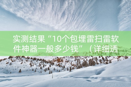 实测结果“10个包埋雷扫雷软件神器一般多少钱”（详细透视教程）-哔哩哔哩