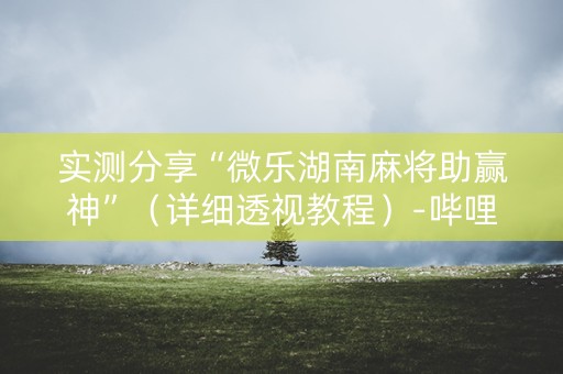 实测分享“微乐湖南麻将助赢神”（详细透视教程）-哔哩哔哩