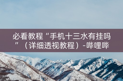 必看教程“手机十三水有挂吗”（详细透视教程）-哔哩哔哩