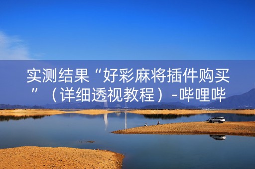 实测结果“好彩麻将插件购买”（详细透视教程）-哔哩哔哩