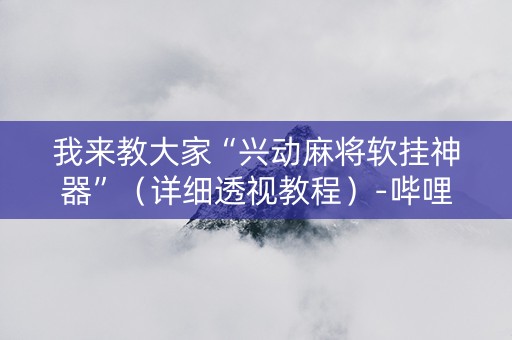 我来教大家“兴动麻将软挂神器”（详细透视教程）-哔哩哔哩