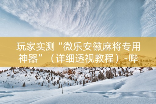 玩家实测“微乐安徽麻将专用神器”（详细透视教程）-哔哩哔哩