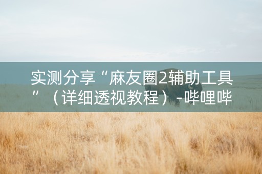 实测分享“麻友圈2辅助工具”（详细透视教程）-哔哩哔哩