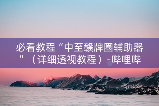 必看教程“中至赣牌圈辅助器”（详细透视教程）-哔哩哔哩