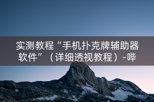 实测教程“手机扑克牌辅助器软件”（详细透视教程）-哔哩哔哩