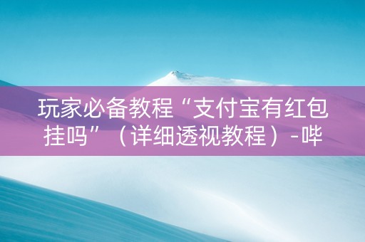 玩家必备教程“支付宝有红包挂吗”（详细透视教程）-哔哩哔哩