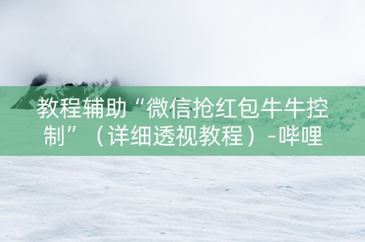教程辅助“微信抢红包牛牛控制”（详细透视教程）-哔哩哔哩