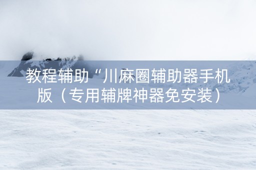 教程辅助“川麻圈辅助器手机版（专用辅牌神器免安装）