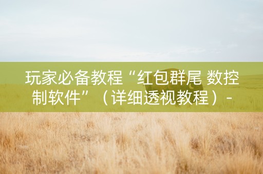 玩家必备教程“红包群尾 数控制软件”（详细透视教程）-哔哩哔哩