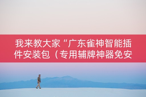 我来教大家“广东雀神智能插件安装包（专用辅牌神器免安装）