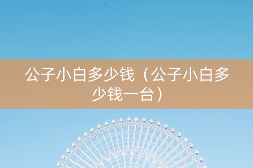 公子小白多少钱（公子小白多少钱一台）