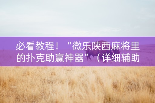 必看教程！“微乐陕西麻将里的扑克助赢神器”（详细辅助教程）-哔哩哔哩
