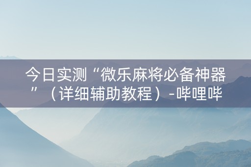 今日实测“微乐麻将必备神器”（详细辅助教程）-哔哩哔哩