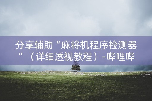 分享辅助“麻将机程序检测器”（详细透视教程）-哔哩哔哩