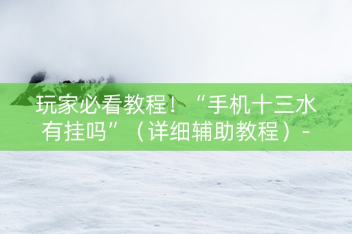 玩家必看教程！“手机十三水有挂吗”（详细辅助教程）-哔哩哔哩