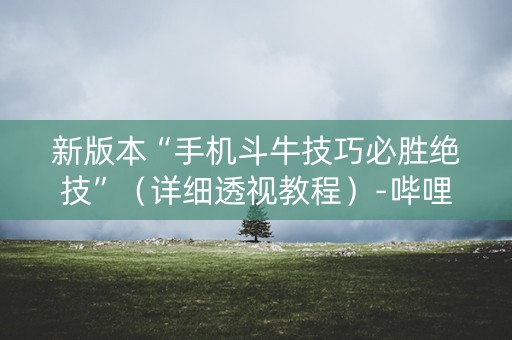 新版本“手机斗牛技巧必胜绝技”（详细透视教程）-哔哩哔哩