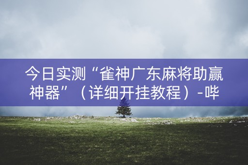今日实测“雀神广东麻将助赢神器”（详细开挂教程）-哔哩哔哩