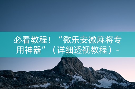 必看教程！“微乐安徽麻将专用神器”（详细透视教程）-哔哩哔哩