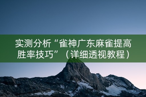 实测分析“雀神广东麻雀提高胜率技巧”（详细透视教程）-哔哩哔哩