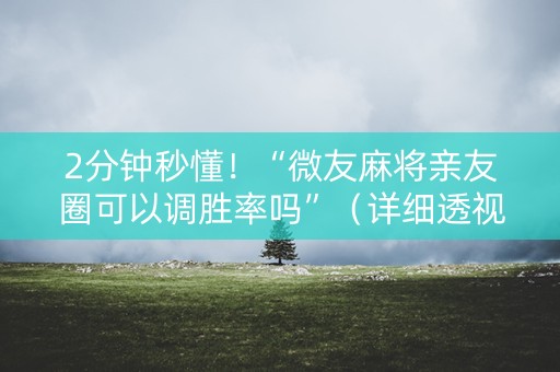 2分钟秒懂！“微友麻将亲友圈可以调胜率吗”（详细透视教程）-哔哩哔哩