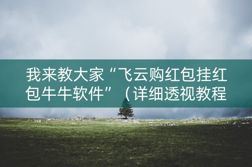 我来教大家“飞云购红包挂红包牛牛软件”（详细透视教程）-哔哩哔哩