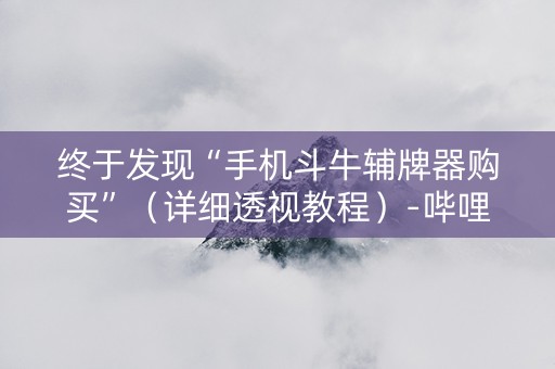 终于发现“手机斗牛辅牌器购买”（详细透视教程）-哔哩哔哩