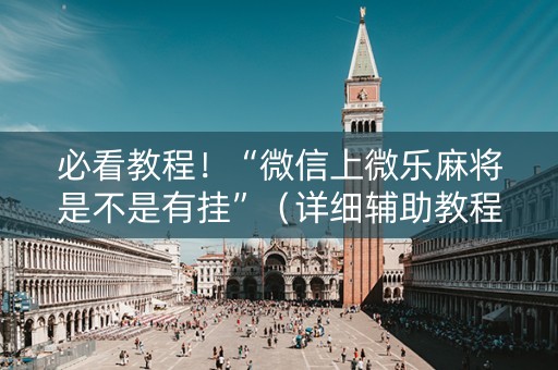必看教程！“微信上微乐麻将是不是有挂”（详细辅助教程）-哔哩哔哩