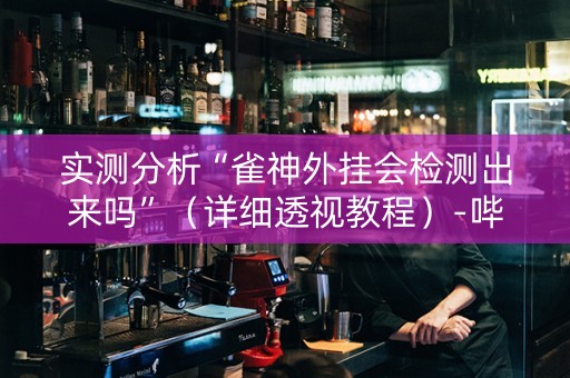 实测分析“雀神外挂会检测出来吗”（详细透视教程）-哔哩哔哩