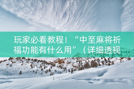 玩家必看教程！“中至麻将祈福功能有什么用”（详细透视教程）-哔哩哔哩